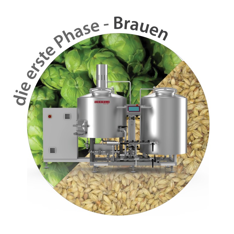 bierbrauen